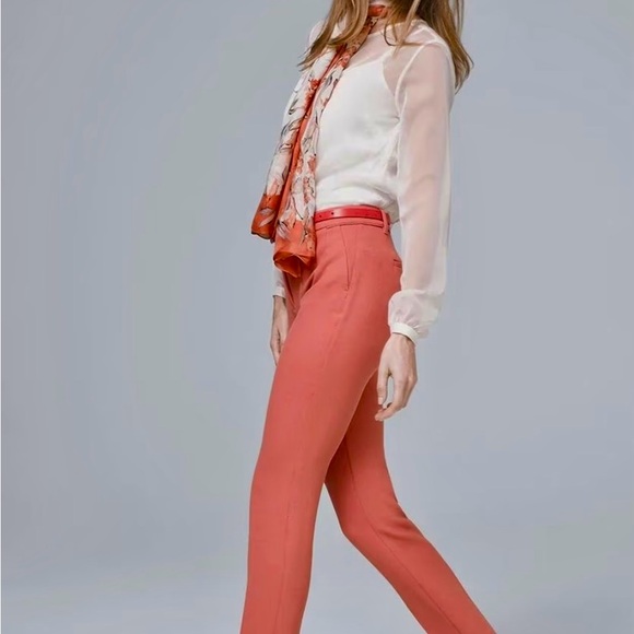 White House Black Market Gorgeous Sheer Long Sleeved Blouse with Cami. Size 6 - Picture 3 of 10